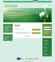 cfoconsulting_051