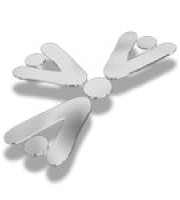 logo-petit