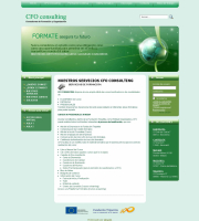 cfoconsulting_00