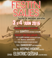 A3_Festi-salies_press