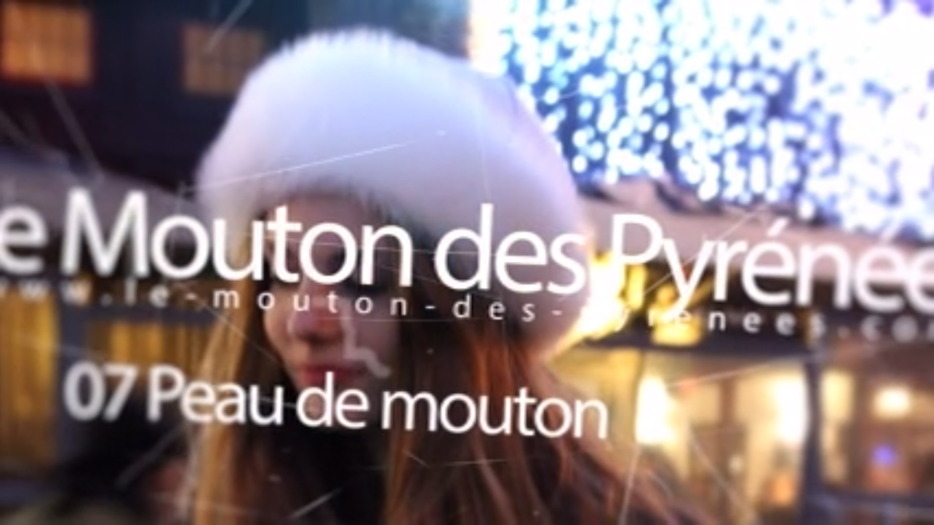 le-mouton-des-pyr-video-motion